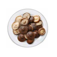 Gesundheit Lebensmittel Canned Shiitake Pilz
